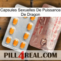 Dragon Power Sexual Capsules new13